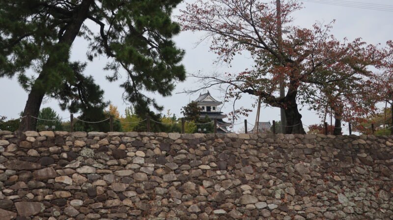 中津城と石垣