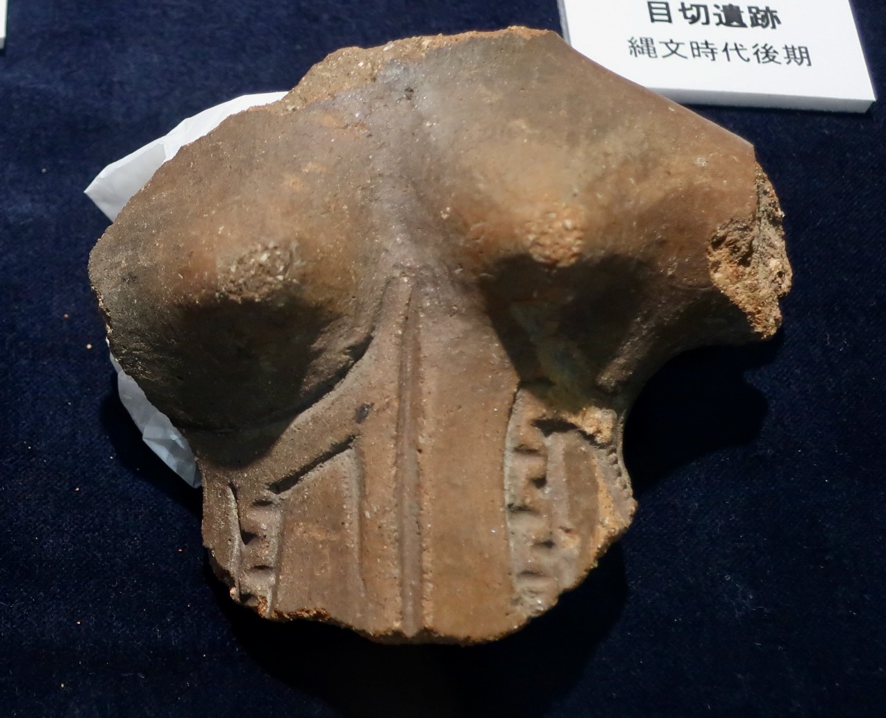 花上寺遺跡から出土した胸部のみの土偶