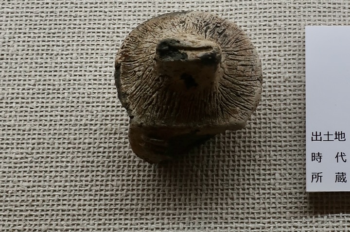 東日本から出土の土偶の頭部